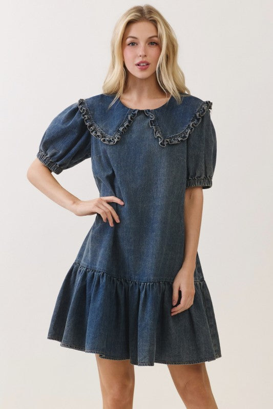 THE COLETTE DENIM DRESS